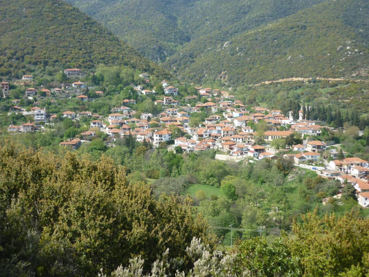 Guesthouse Zografia Vrazná Kültér fotó